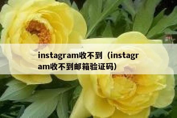 instagram收不到（instagram收不到邮箱验证码） 第1张