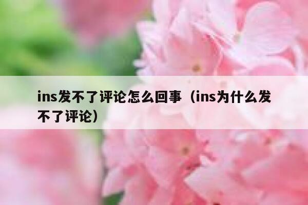 ins发不了评论怎么回事（ins为什么发不了评论） 第1张