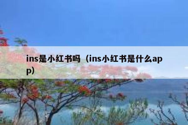ins是小红书吗(ins小红书是什么app) 第1张 ins是小红书吗(ins小红书是什么app) 第1张