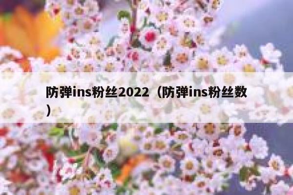 防弹ins粉丝2022（防弹ins粉丝数） 第1张