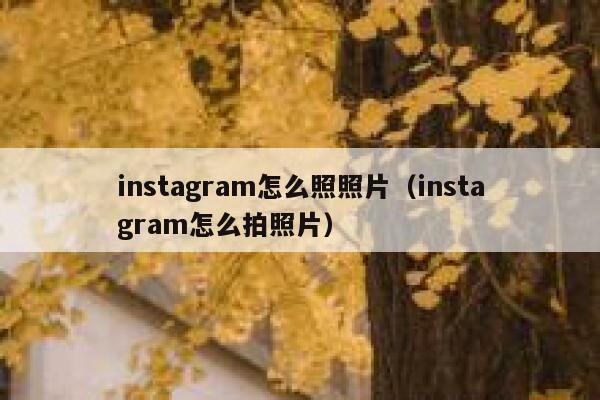 instagram怎么照照片(instagram怎么拍照片) 第1张 instagram怎么照照片(instagram怎么拍照片) 第1张