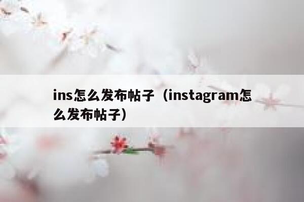 ins怎么发布帖子（instagram怎么发布帖子） 第1张
