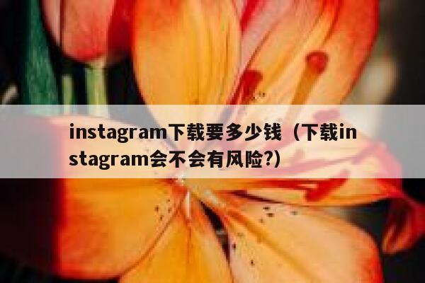 instagram下载要多少钱(下载instagram会不会有风险?) 第1张 instagram下载要多少钱(下载instagram会不会有风险?) 第1张