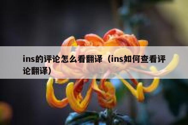 ins的评论怎么看翻译（ins如何查看评论翻译） 第1张