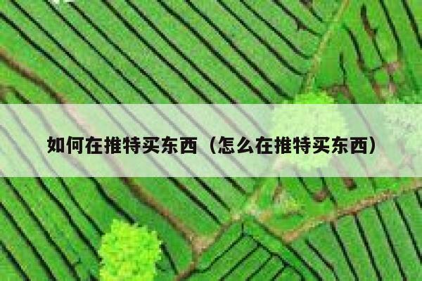 如何在推特买东西(怎么在推特买东西) 第1张 如何在推特买东西(怎么在推特买东西) 第1张