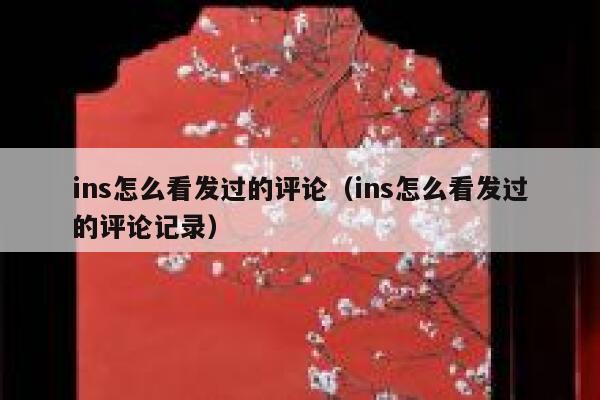 ins怎么看发过的评论（ins怎么看发过的评论记录） 第1张