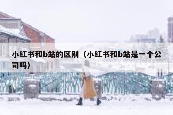 小红书和b站的区别（小红书和b站是一个公司吗） 第1张