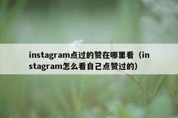 instagram点过的赞在哪里看（instagram怎么看自己点赞过的） 第1张