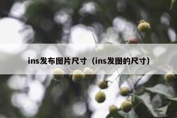 ins发布图片尺寸（ins发图的尺寸） 第1张