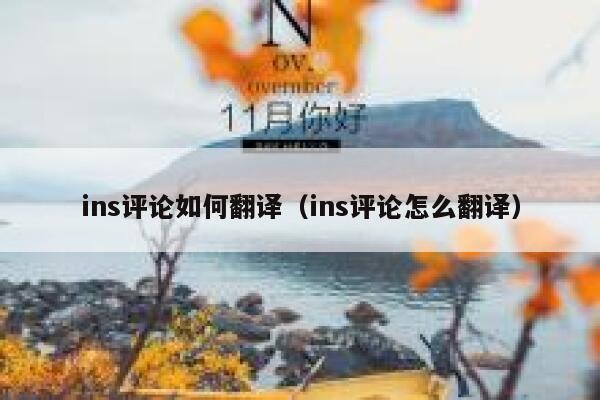 ins评论如何翻译（ins评论怎么翻译） 第1张