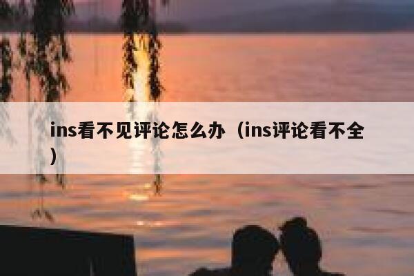 ins看不见评论怎么办（ins评论看不全） 第1张