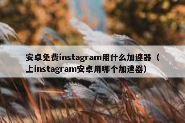 安卓免费instagram用什么加速器(上instagram安卓用哪个加速器) 第1张 安卓免费instagram用什么加速器(上instagram安卓用哪个加速器) 第1张