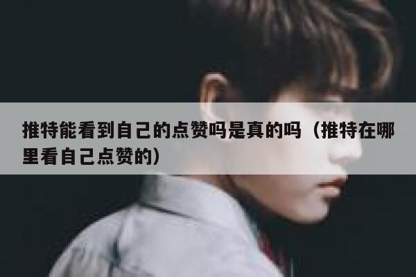 推特能看到自己的点赞吗是真的吗（推特在哪里看自己点赞的） 第1张