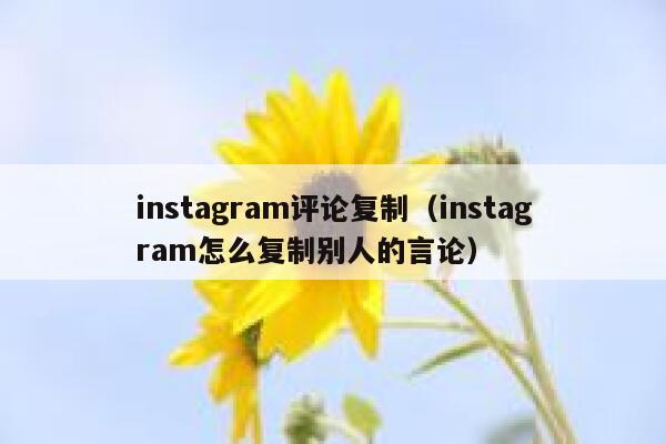 instagram评论复制(instagram怎么复制别人的言论) 第1张 instagram评论复制(instagram怎么复制别人的言论) 第1张