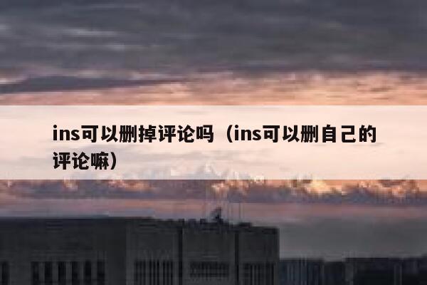 ins可以删掉评论吗（ins可以删自己的评论嘛） 第1张