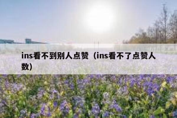 ins看不到别人点赞（ins看不了点赞人数） 第1张