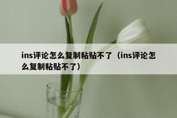 ins评论怎么复制粘贴不了（ins评论怎么复制粘贴不了） 第1张