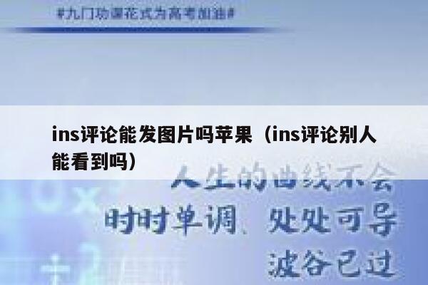 ins评论能发图片吗苹果（ins评论别人能看到吗） 第1张