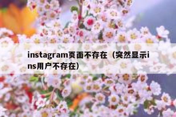 instagram页面不存在（突然显示ins用户不存在） 第1张