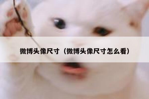 微博头像尺寸（微博头像尺寸怎么看） 第1张