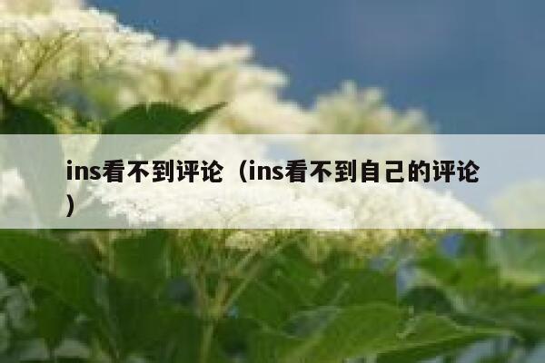ins看不到评论（ins看不到自己的评论） 第1张
