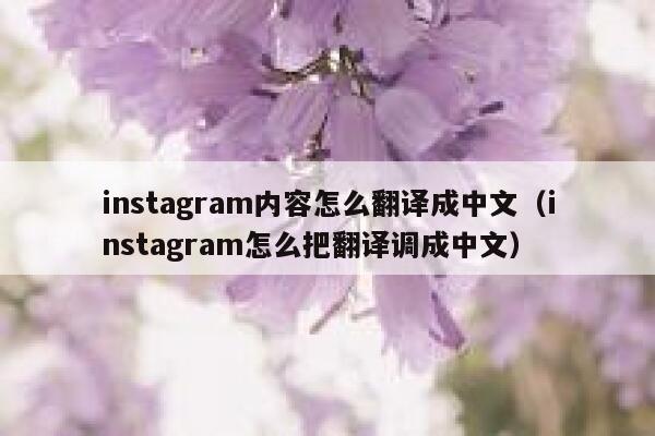 instagram内容怎么翻译成中文（instagram怎么把翻译调成中文） 第1张