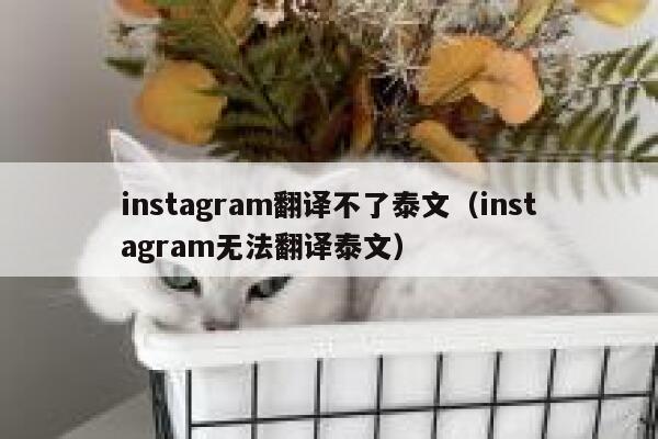 instagram翻译不了泰文（instagram无法翻译泰文） 第1张