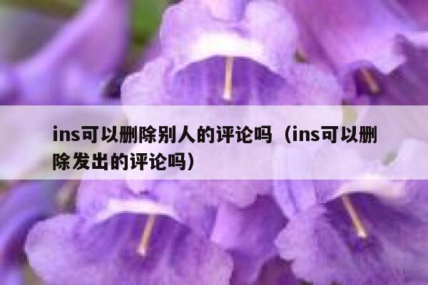 ins可以删除别人的评论吗（ins可以删除发出的评论吗） 第1张
