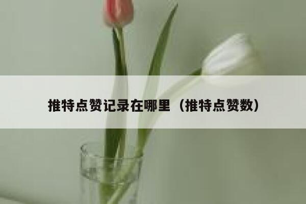 推特点赞记录在哪里（推特点赞数） 第1张