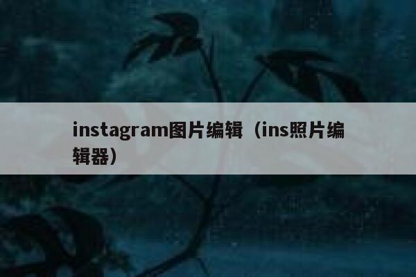 instagram图片编辑（ins照片编辑器） 第1张