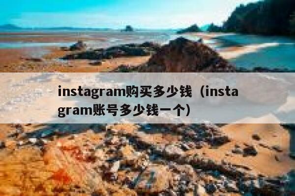 instagram购买多少钱（instagram账号多少钱一个） 第1张