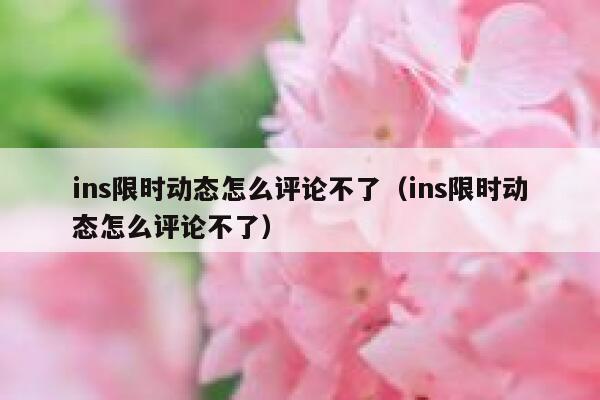 ins限时动态怎么评论不了(ins限时动态怎么评论不了) 第1张 ins限时动态怎么评论不了(ins限时动态怎么评论不了) 第1张