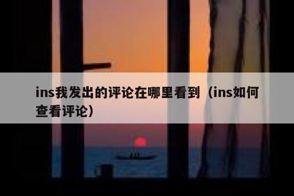 ins我发出的评论在哪里看到（ins如何查看评论） 第1张
