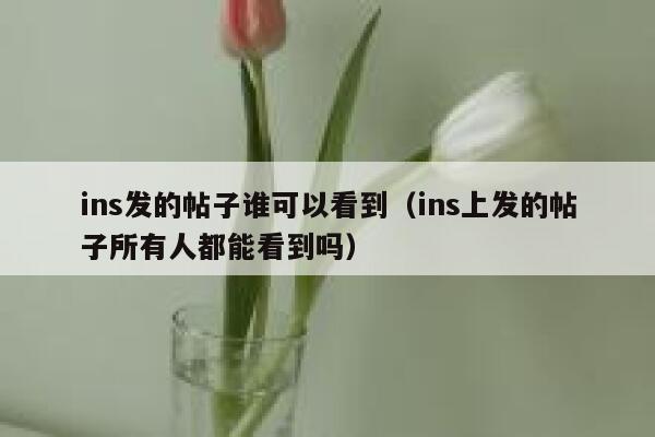 ins发的帖子谁可以看到（ins上发的帖子所有人都能看到吗） 第1张