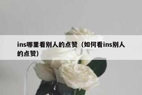 ins哪里看别人的点赞（如何看ins别人的点赞） 第1张