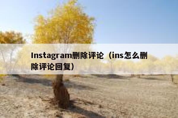Instagram删除评论(ins怎么删除评论回复) 第1张 Instagram删除评论(ins怎么删除评论回复) 第1张