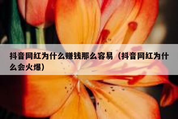 抖音网红为什么赚钱那么容易(抖音网红为什么会火爆) 第1张 抖音网红为什么赚钱那么容易(抖音网红为什么会火爆) 第1张