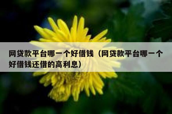 网贷款平台哪一个好借钱(网贷款平台哪一个好借钱还借的高利息) 第1张 网贷款平台哪一个好借钱(网贷款平台哪一个好借钱还借的高利息) 第1张