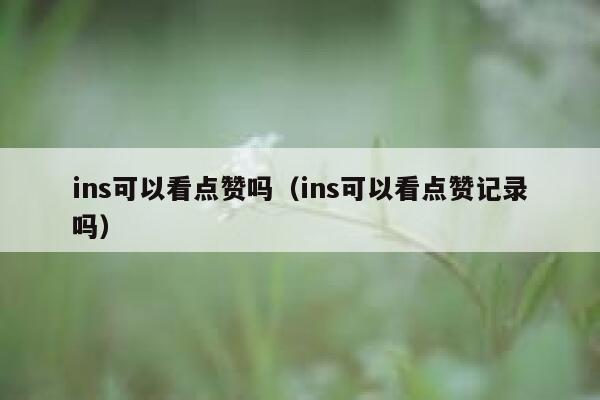 ins可以看点赞吗(ins可以看点赞记录吗) 第1张 ins可以看点赞吗(ins可以看点赞记录吗) 第1张