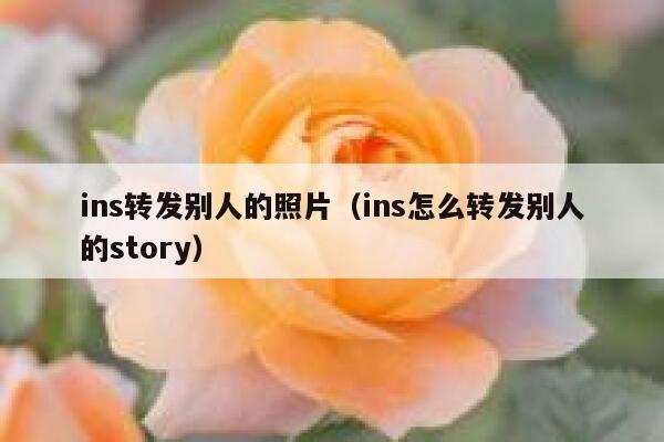 ins转发别人的照片（ins怎么转发别人的story） 第1张