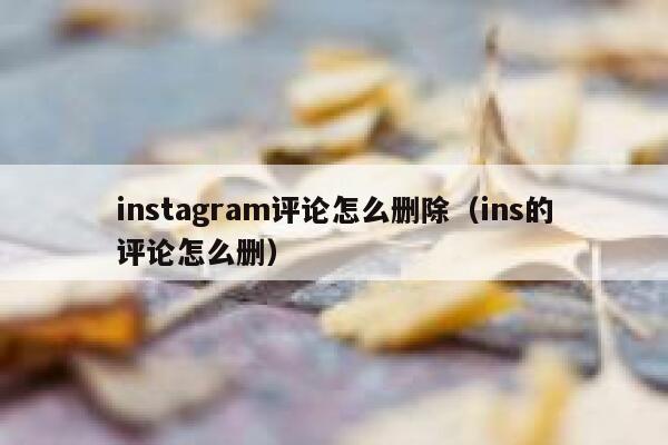 instagram评论怎么删除（ins的评论怎么删） 第1张