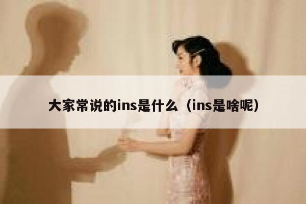 大家常说的ins是什么（ins是啥呢） 第1张