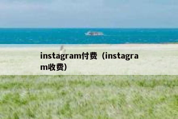 instagram付费（instagram收费） 第1张