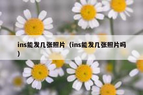 ins能发几张照片（ins能发几张照片吗） 第1张