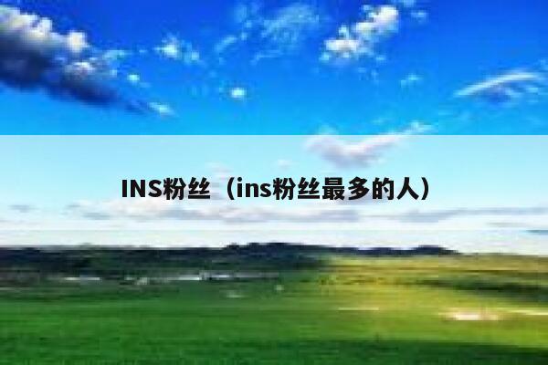 INS粉丝（ins粉丝最多的人） 第1张
