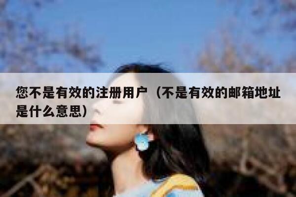 您不是有效的注册用户（不是有效的邮箱地址是什么意思） 第1张