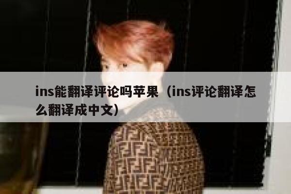 ins能翻译评论吗苹果（ins评论翻译怎么翻译成中文） 第1张