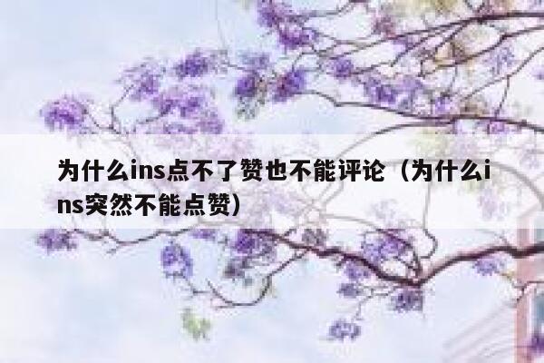 为什么ins点不了赞也不能评论（为什么ins突然不能点赞） 第1张
