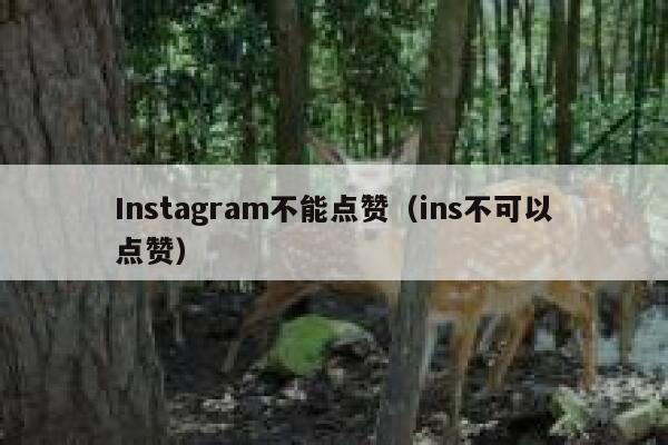 Instagram不能点赞(ins不可以点赞) 第1张 Instagram不能点赞(ins不可以点赞) 第1张