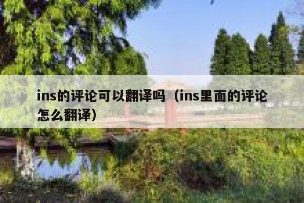 ins的评论可以翻译吗(ins里面的评论怎么翻译) 第1张 ins的评论可以翻译吗(ins里面的评论怎么翻译) 第1张